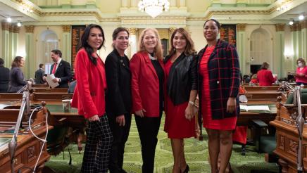 Wear Red Day in the Assembly Chamber, LWC Caucus